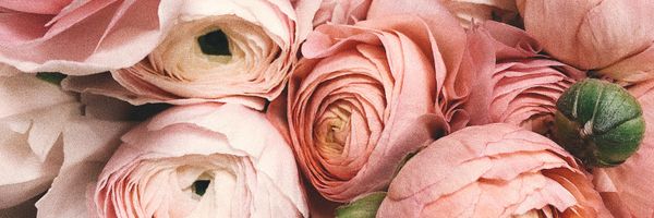 Blumen